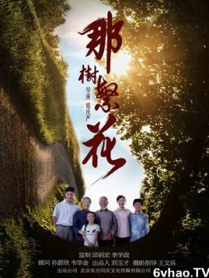 爱上冷酷总裁